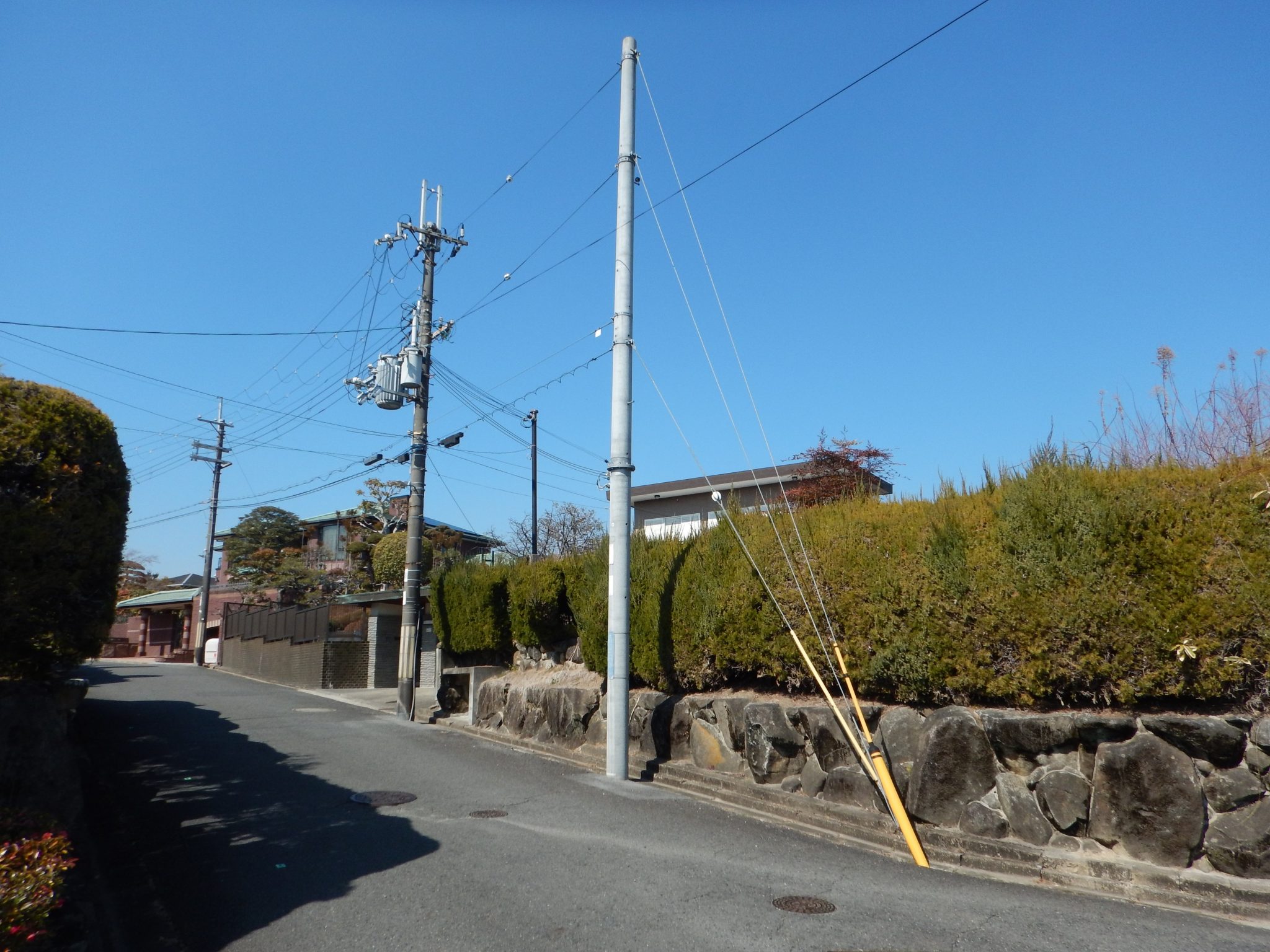 支線の種類