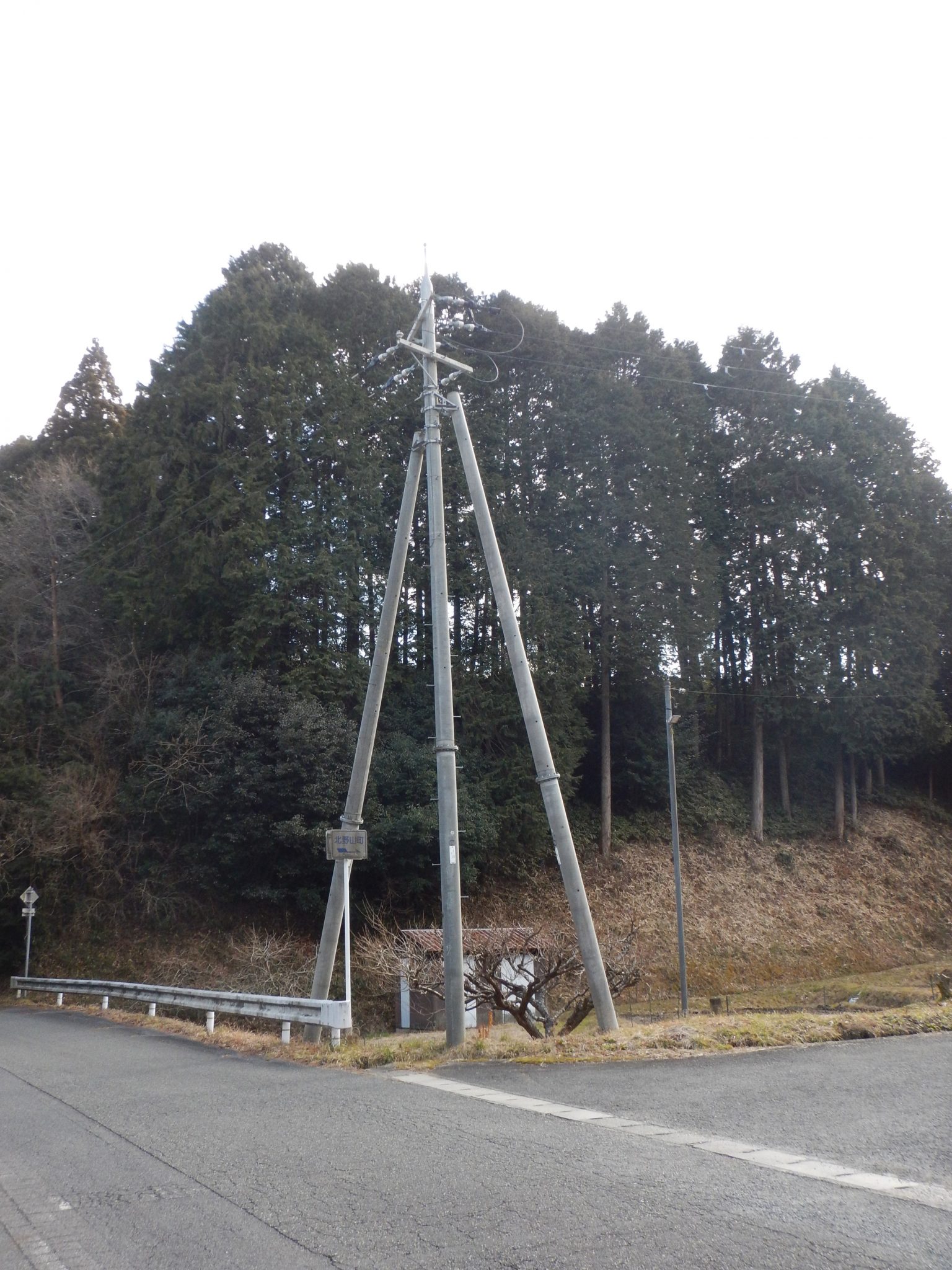 支線の種類 | 移設協議は設計マイスターの電柱netにお任せ下さい