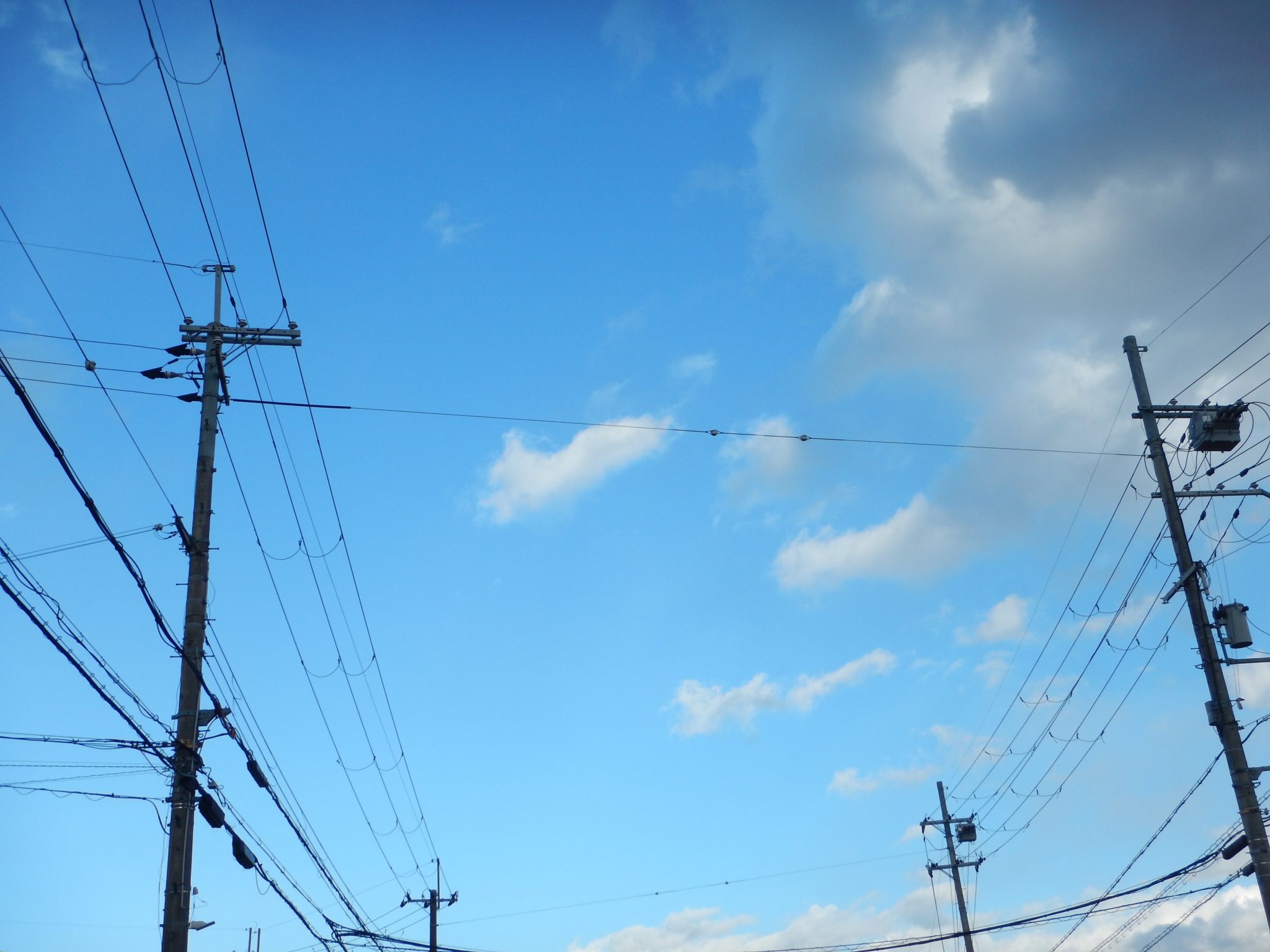 電柱と支線ってどう違うんですか?, 電柱 支線 役割 – KFSWCU