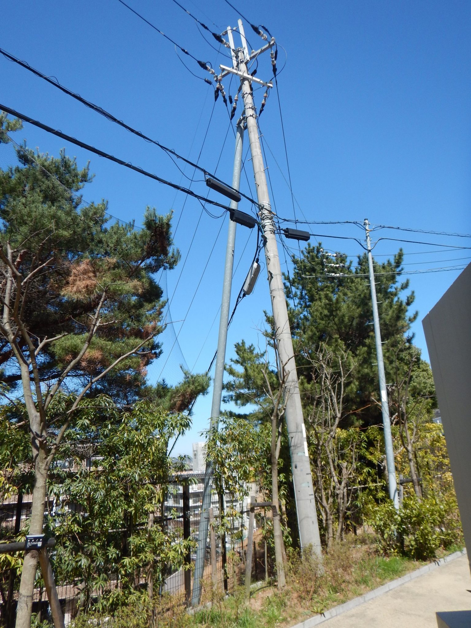 支柱支線柱違い: 引込柱 支線 省略 早見表 – BUXSW